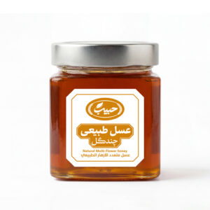 حبیب